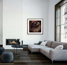 Ladda upp bild till gallerivisning, WINGS