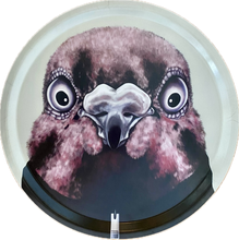 Ladda upp bild till gallerivisning, Bricka med motivet “The Pigeon That Went Missing” – föreställande Duvan Caesar. Rekonstruerat digitalt efter att originalverket gick förlorat i en brand.