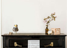 Ladda upp bild till gallerivisning, Personlig inredning med byst av fiskmåsen Mozart.