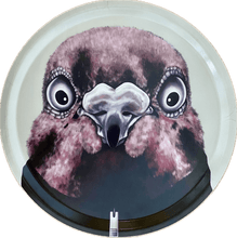 Ladda upp bild till gallerivisning, BRICKA - THE PIGEON THAT WENT MISSING

